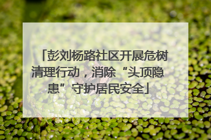 彭刘杨路社区开展危树清理行动，消除“头顶隐患”守护居民安全