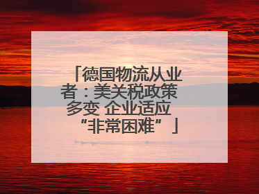 德国物流从业者：美关税政策多变 企业适应“非常困难”