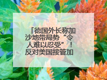 德国外长称加沙地带局势“令人难以忍受”！反对美国接管加沙地带的想法