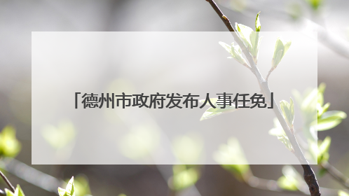 德州市政府发布人事任免