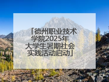 德州职业技术学院2025年大学生暑期社会实践活动启动
