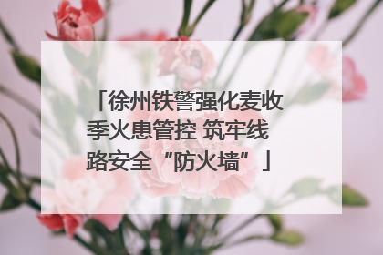 徐州铁警强化麦收季火患管控 筑牢线路安全“防火墙”