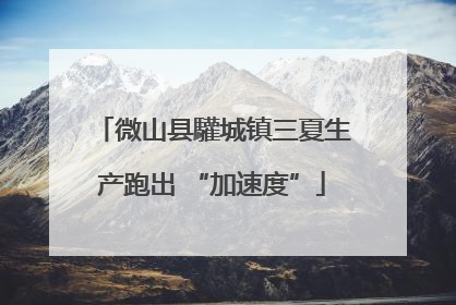 微山县驩城镇三夏生产跑出 “加速度”