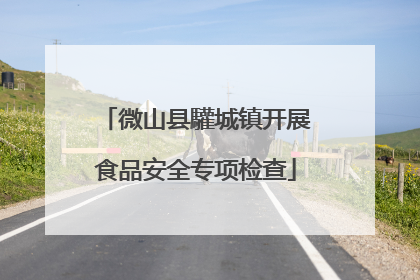微山县驩城镇开展食品安全专项检查