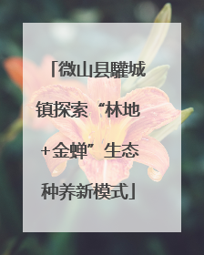 微山县驩城镇探索“林地+金蝉”生态种养新模式