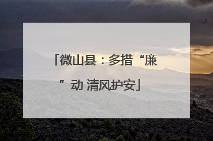 微山县：多措“廉”动 清风护安