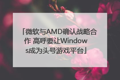 微软与AMD确认战略合作 高呼要让Windows成为头号游戏平台