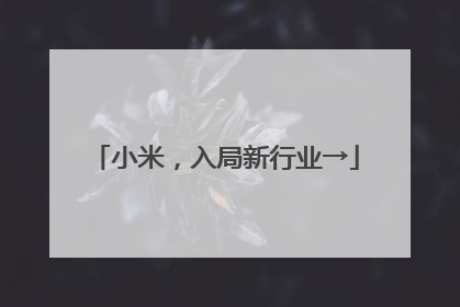 小米，入局新行业→