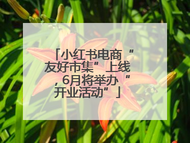 小红书电商“友好市集”上线，6月将举办“开业活动”