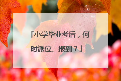 小学毕业考后，何时派位、报到？