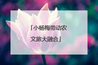 小杨梅带动农文旅大融合