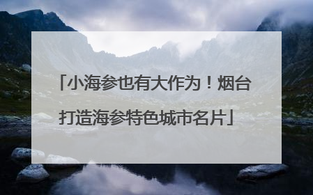 小海参也有大作为！烟台打造海参特色城市名片