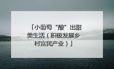 小葡萄“酿”出甜美生活（积极发展乡村富民产业）