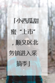 小西瓜甜蜜“上市”，顺义区北务镇进入采摘季