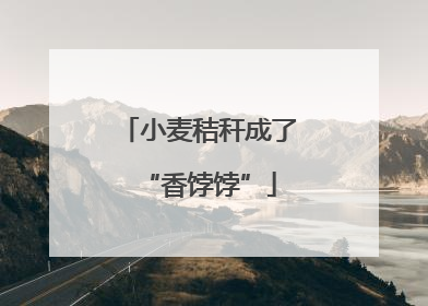 小麦秸秆成了“香饽饽”
