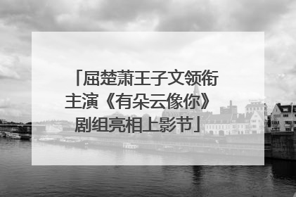 屈楚萧王子文领衔主演《有朵云像你》剧组亮相上影节
