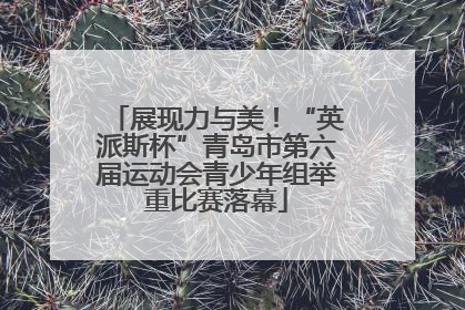 展现力与美！“英派斯杯”青岛市第六届运动会青少年组举重比赛落幕