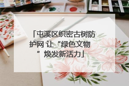 屯溪区织密古树防护网 让“绿色文物”焕发新活力