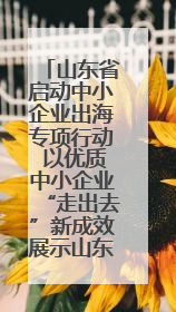 山东省启动中小企业出海专项行动 以优质中小企业“走出去”新成效展示山东产业发展新形象