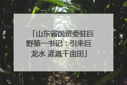 山东省国资委驻巨野第一书记：引来巨龙水 灌溉千亩田