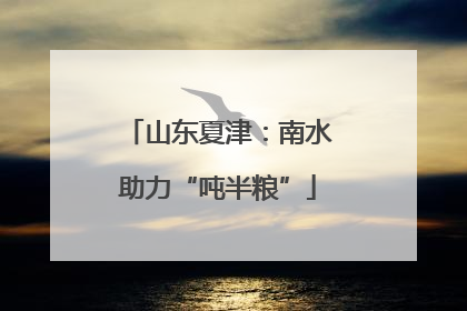 山东夏津：南水助力“吨半粮”