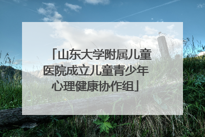山东大学附属儿童医院成立儿童青少年心理健康协作组