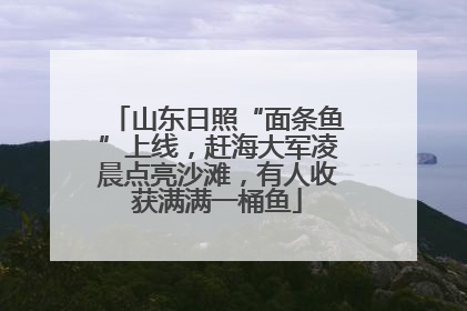 山东日照“面条鱼”上线，赶海大军凌晨点亮沙滩，有人收获满满一桶鱼