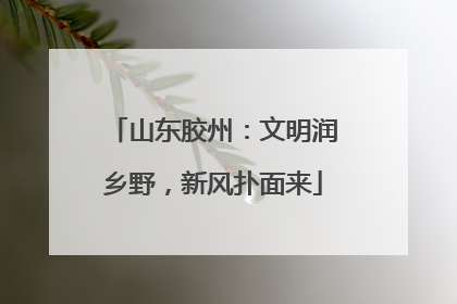 山东胶州：文明润乡野，新风扑面来