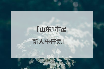 山东1市最新人事任免