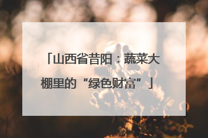 山西省昔阳：蔬菜大棚里的“绿色财富”