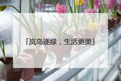 岚岛逐绿，生活更美