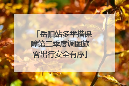 岳阳站多举措保障第三季度调图旅客出行安全有序