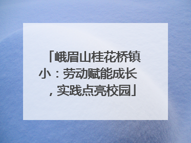峨眉山桂花桥镇小：劳动赋能成长，实践点亮校园