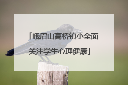 峨眉山高桥镇小全面关注学生心理健康