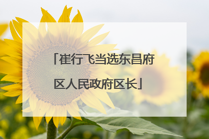 崔行飞当选东昌府区人民政府区长