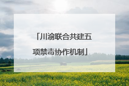 川渝联合共建五项禁毒协作机制