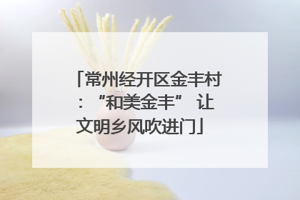 常州经开区金丰村：“和美金丰” 让文明乡风吹进门