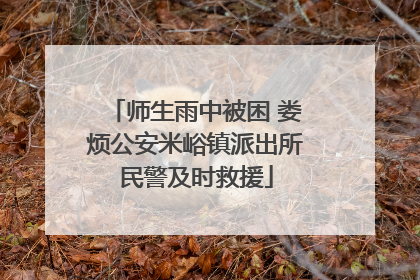 师生雨中被困 娄烦公安米峪镇派出所民警及时救援