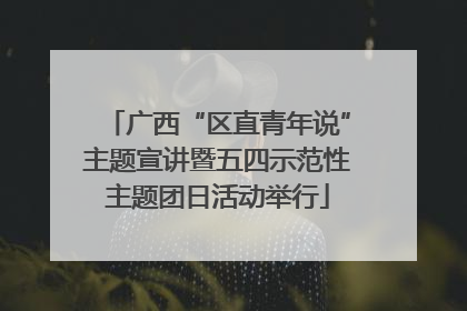 广西“区直青年说”主题宣讲暨五四示范性主题团日活动举行