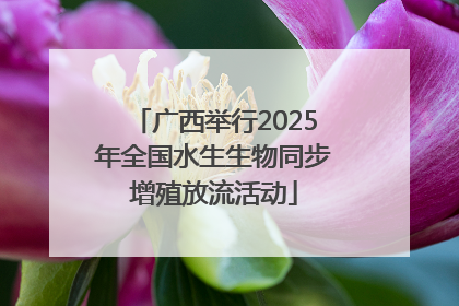 广西举行2025年全国水生生物同步增殖放流活动