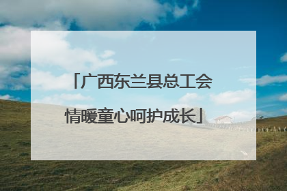 广西东兰县总工会情暖童心呵护成长