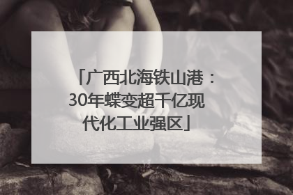 广西北海铁山港：30年蝶变超千亿现代化工业强区