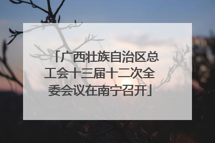 广西壮族自治区总工会十三届十二次全委会议在南宁召开