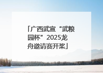 广西武宣“武粮园杯”2025龙舟邀请赛开桨