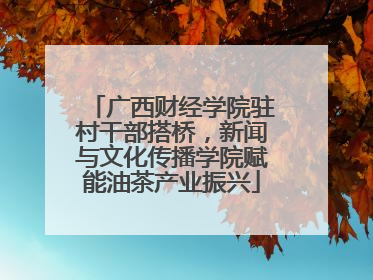 广西财经学院驻村干部搭桥，新闻与文化传播学院赋能油茶产业振兴
