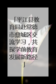 平江县教育局赴常德市鼎城区交流学习，共探学前教育发展新路径