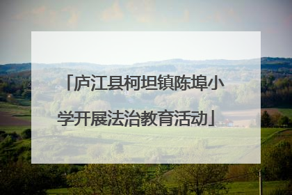 庐江县柯坦镇陈埠小学开展法治教育活动
