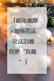 庭审观摩+现场普法 让法治教育更“直观”