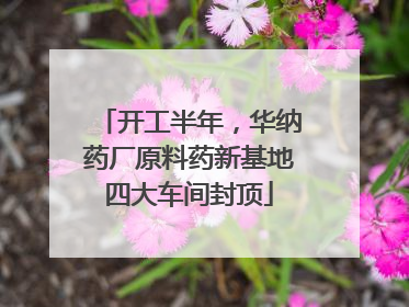 开工半年，华纳药厂原料药新基地四大车间封顶