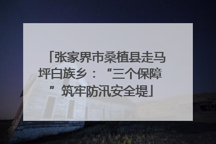张家界市桑植县走马坪白族乡：“三个保障”筑牢防汛安全堤
